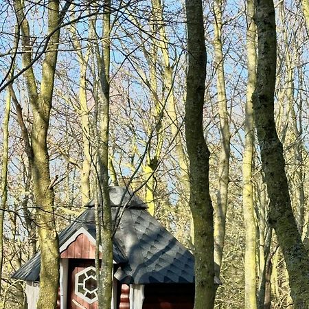 Naturidyll Mariendorf - Reethus Rotbuche Middelhagen Exterior foto