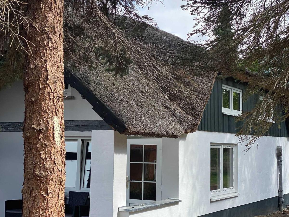 Naturidyll Mariendorf - Reethus Rotbuche Middelhagen Exterior foto