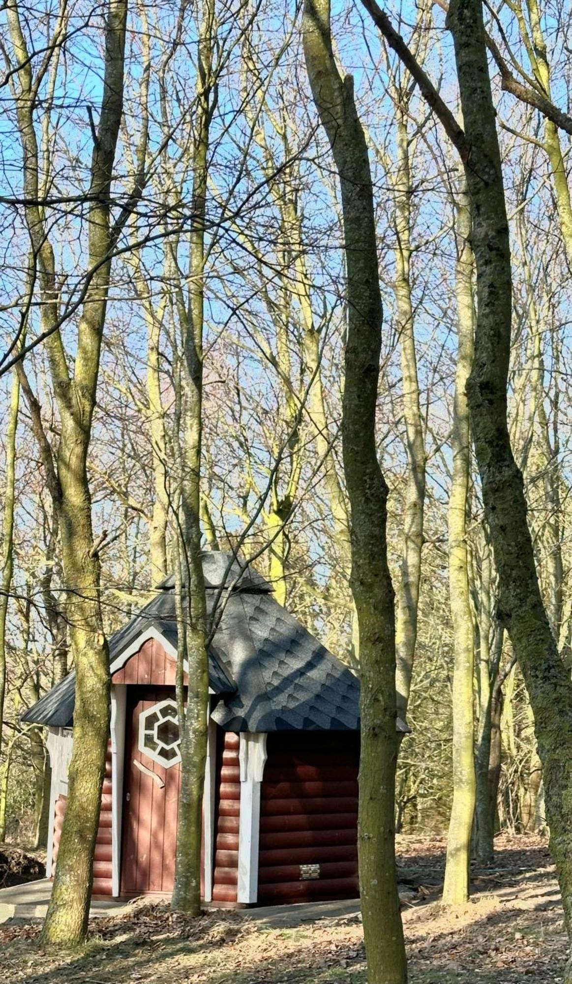 Naturidyll Mariendorf - Reethus Rotbuche Middelhagen Exterior foto